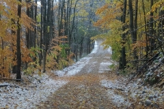 Autumn-Snow-in-the-Jordan-Valley-Sandra-Kotalik