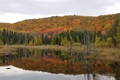 Fall on the Jordan Trail by Ted Teise