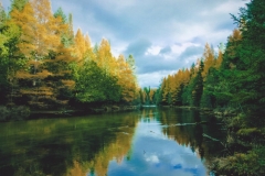 Gaye Hott  Reflections of the Tamarack Trees on the Jordan Rive