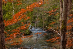 Gaye hott fall Jordan river!