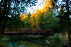 Gaye hott - pinney bridge with tamarack trees!