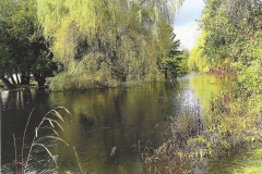 Jan Goodwin  Spring Flood