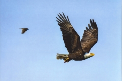 John E. Doskoch  Eagle and Co-Pilot