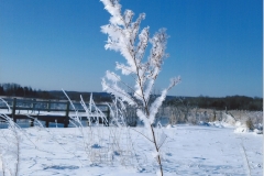 Sandra Kotalik  Frosty Jordan River Views