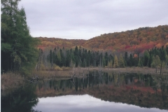 Ted Teise  Reflections of Fall