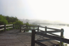 Wyatt Seese  Untitled 1