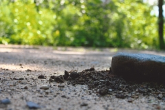 Wyatt Seese  Untitled