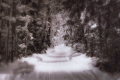 janell thomas snowy trail cropped
